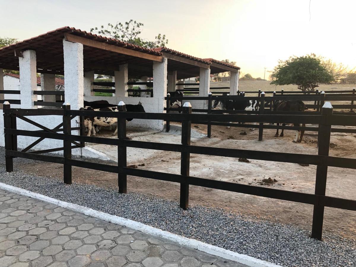 Flat 601 Condominio Villa Hipica - Gravata, Pe Exterior photo